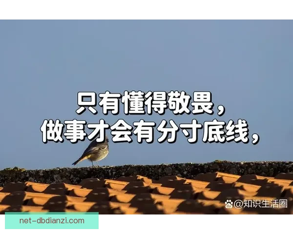 挑战规则底线  恶意犯规何时止界