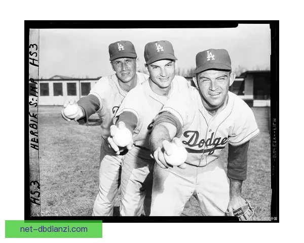 探寻棒球传奇：历史记录中的经典时刻